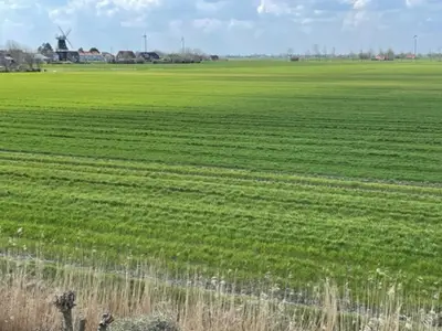 Ferienhaus für 6 Personen (80 m²) in Carolinensiel 4/10