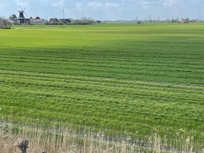 Ferienhaus für 6 Personen (80 m²) in Carolinensiel 5/10
