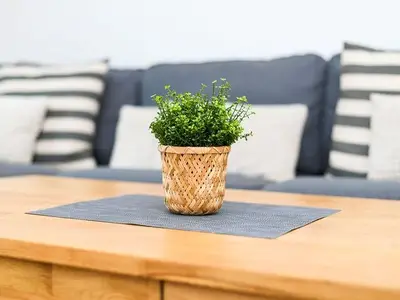 Ferienhaus für 5 Personen (75 m²) in Carolinensiel 10/10