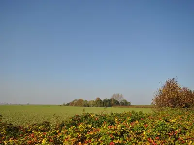 Ferienhaus für 6 Personen (80 m²) in Carolinensiel 9/10