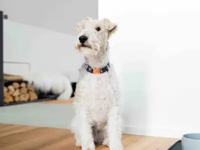 Ferienhaus für 6 Personen (120 m²) in Carolinensiel 10/10