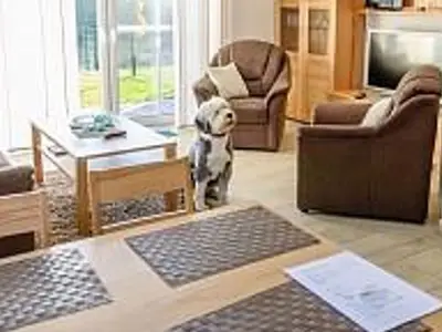 Ferienhaus für 4 Personen (65 m²) in Carolinensiel 5/10