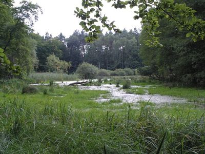 Ferienhaus für 5 Personen (55 m²) in Carpin 3/8