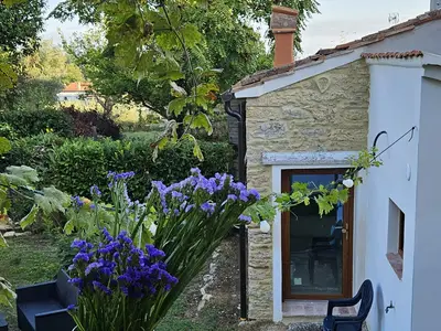 Ferienhaus für 4 Personen (60 m²) in Casciana Terme 4/10