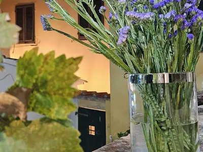 Ferienhaus für 4 Personen (60 m²) in Casciana Terme 5/10