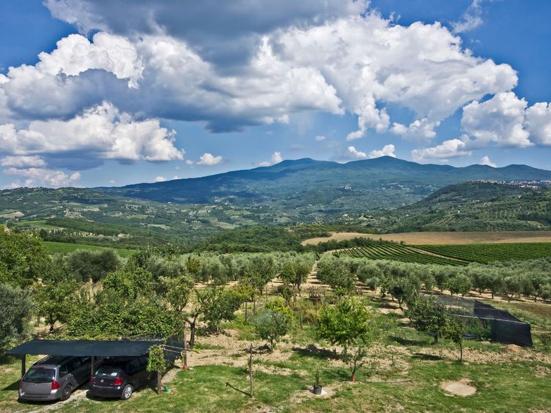 23099457-Ferienhaus-5-Castel Del Piano-800x600-2