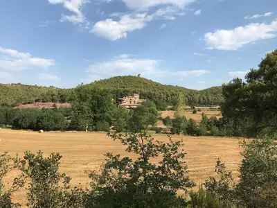 ViewSummer