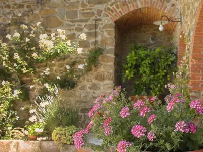 Ferienhaus für 5 Personen (120 m²) in Castelnuovo Berardenga 8/10