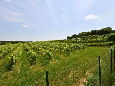 Ferienhaus für 2 Personen (70 m²) in Castelnuovo Del Garda 7/10