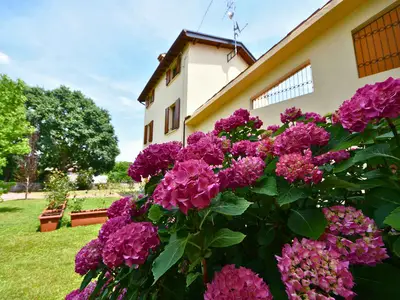Ferienhaus für 2 Personen (70 m²) in Castelnuovo Del Garda 10/10