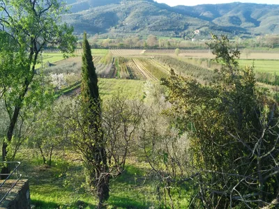 ViewSummer