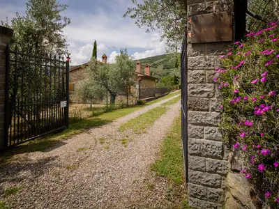 Ferienhaus für 17 Personen (300 m²) in Castiglione Fiorentino 10/10