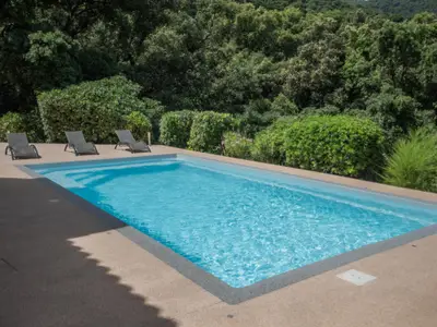 Pool des Ferienhauses