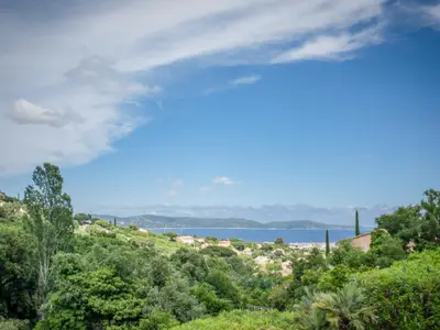 Aussicht vom Ferienhaus [Sommer]