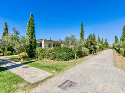 Ferienhaus für 4 Personen (64 m²) in Cecina 5/10