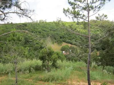 ViewSummer