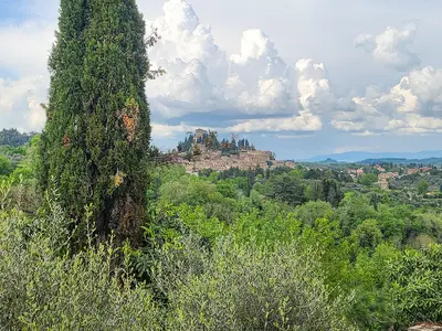 view-from-room