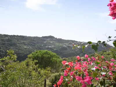 view-from-room
