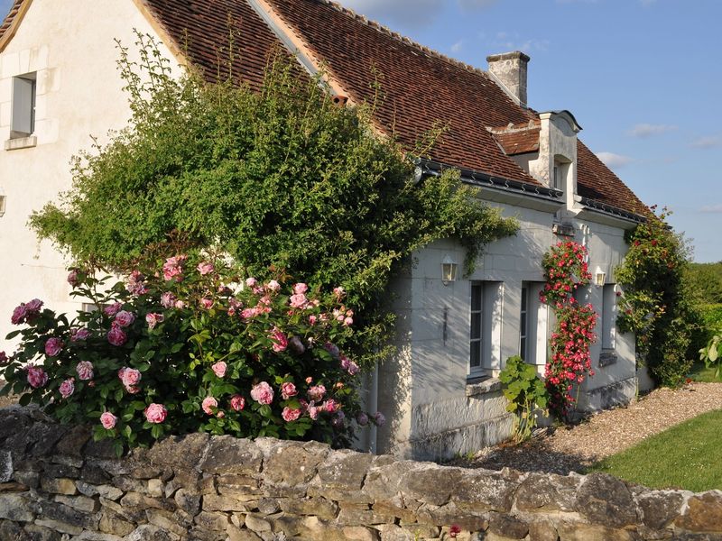 19345179-Ferienhaus-7-Chambourg-sur-Indre-800x600-2