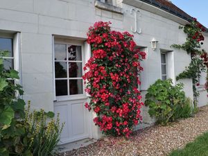 19345179-Ferienhaus-7-Chambourg-sur-Indre-300x225-5