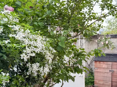 outside