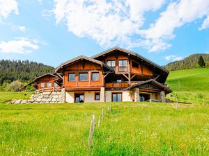 Ferienhaus für 13 Personen (240 m²) in Châtel