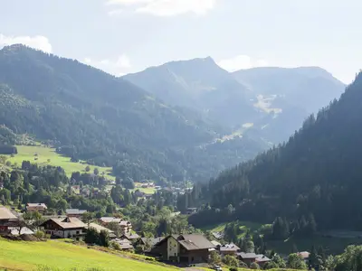 ViewSummer