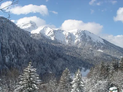 ViewWinter