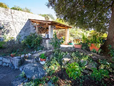 GardenSummer