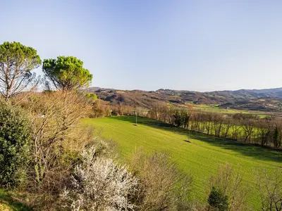 ViewSummer