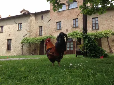 Bild 8