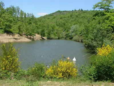Bild 9