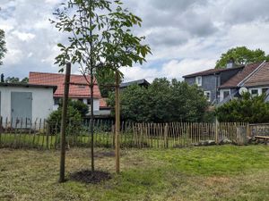 18612305-Ferienhaus-8-Clausthal-Zellerfeld-300x225-4