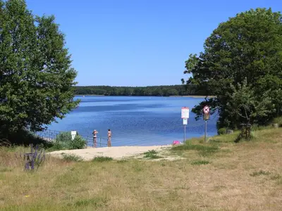 AreaSummer5KM