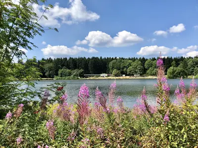 AreaSummer1KM