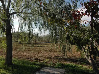 Bild 8