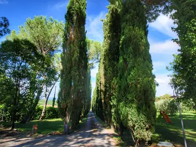 GardenSummer