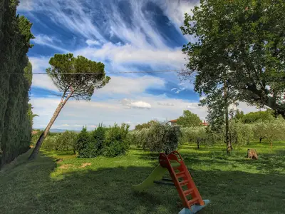 ViewSummer