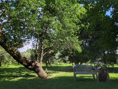 GardenSummer