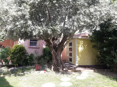 Bild 10