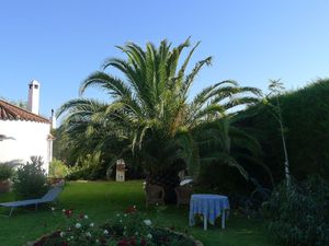 22435411-Ferienhaus-4-Conil de la Frontera-300x225-5