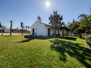 19195362-Ferienhaus-4-Conil de la Frontera-300x225-4