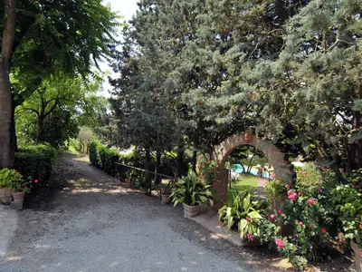 GardenSummer