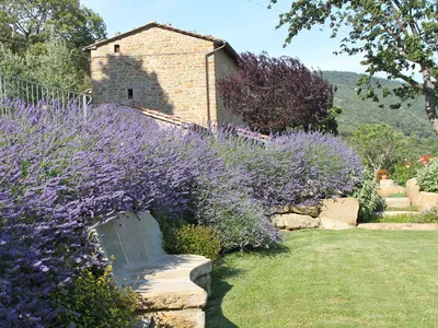 Ferienhaus für 8 Personen (250 m²) in Cortona 2/10