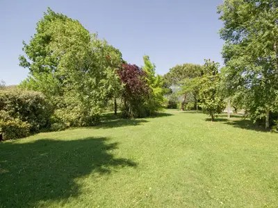 GardenSummer