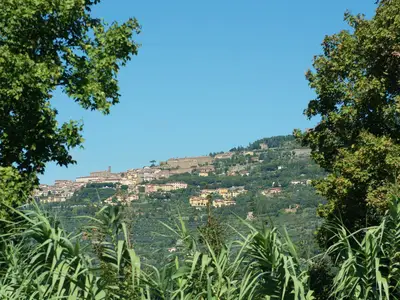 ViewSummer
