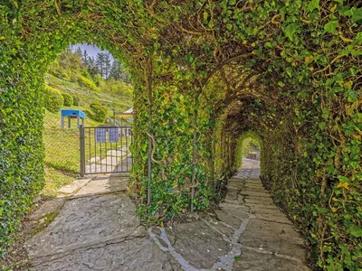 Ferienhaus für 6 Personen (145 m²) in Cortona 8/10