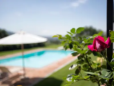 Ferienhaus für 14 Personen (300 m²) in Cortona 7/10