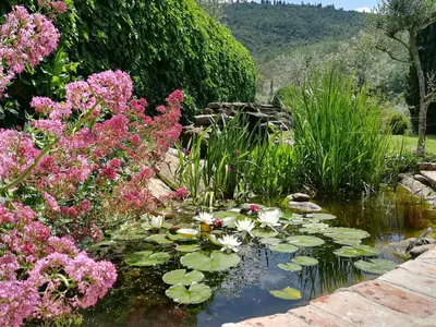 Ferienhaus für 7 Personen (120 m²) in Cortona 6/10