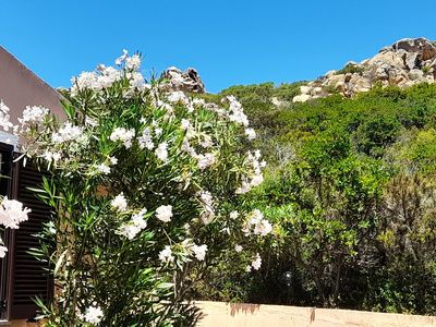 Ferienhaus für 4 Personen (50 m²) in Costa Paradiso 3/10